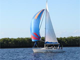 Schaefer 31 - 2013